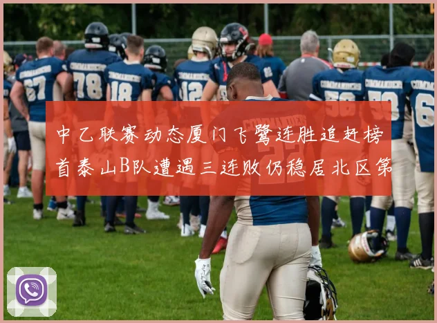 中乙联赛动态厦门飞鹭连胜追赶榜首泰山B队遭遇三连败仍稳居北区第三