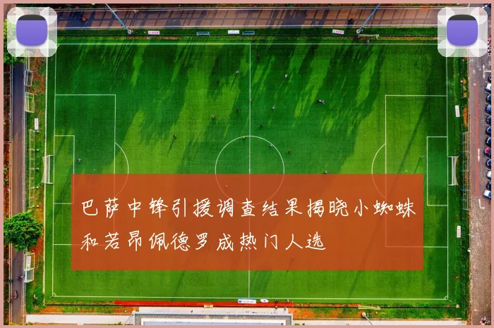 巴萨中锋引援调查结果揭晓小蜘蛛和若昂佩德罗成热门人选
